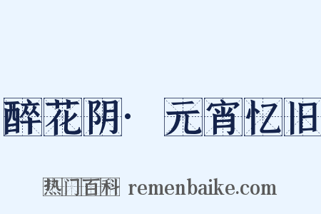 醉花阴·元宵忆旧是什么意思的图片